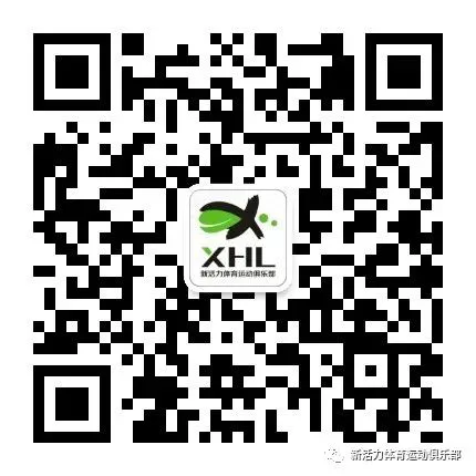 篮球协调训练的有效工具和设备推荐_0